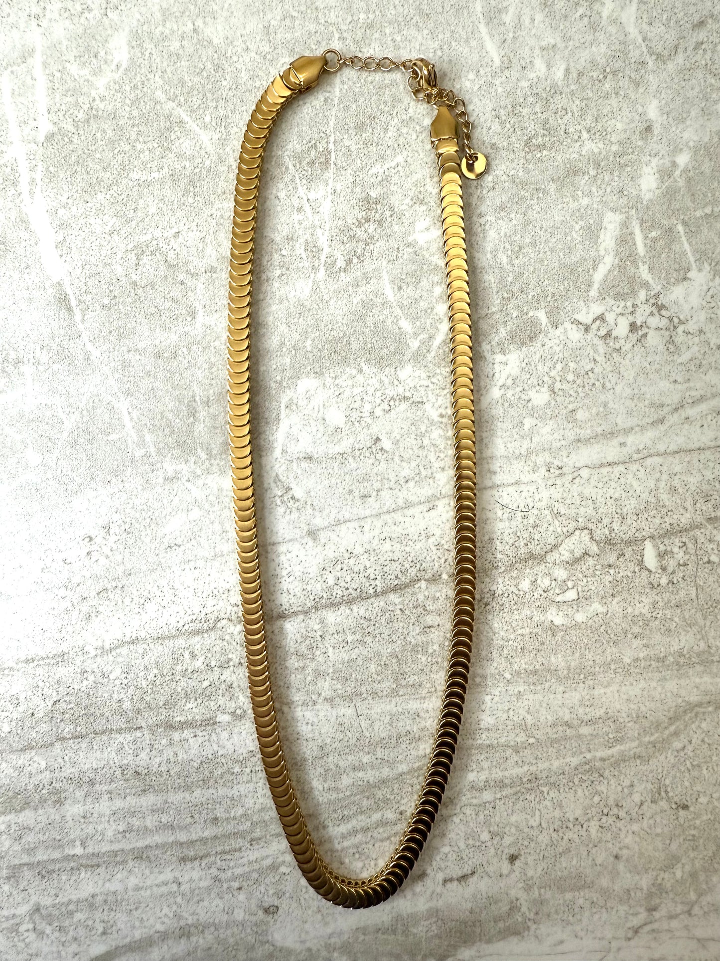 Centipede